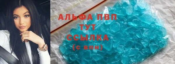 эйфоретик Аркадак
