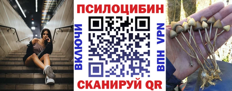 Галлюциногенные грибы MAGIC MUSHROOMS закладка Мантурово